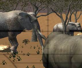Screenshot image of Animal Hunter 3D: Africa game