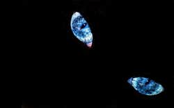 Poster image of Shadow of Myself game