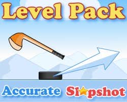 Poster image of Accurate Slapshot Level Pack game