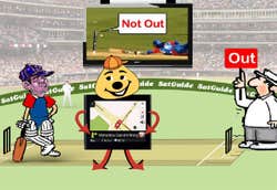 Buddy Cricket Game Poster image of Buddy Cricket Game game