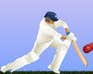 Poster image of Cricket Game game