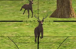 Poster image of Deer Sniper 2014 game