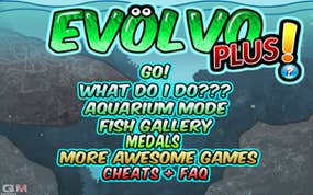 Screenshot image of EvolvoPLUS game