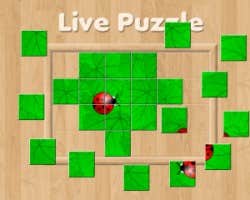 Live Puzzle Poster image of Live Puzzle game