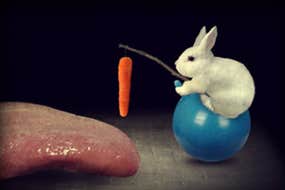 Screenshot image of Mitoza game