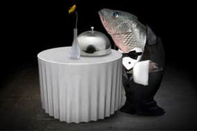 Screenshot image of Mitoza game