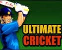 Poster image of Ultimate Cricket game