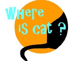 Poster image of Where is cat? game