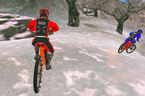 Screenshot image of MX Offroad Master game