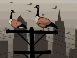 Poster image of Endless Migration 2 DEMO game