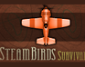 Poster image of Steambirds: Survival game