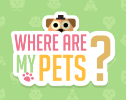 Poster image of Where Are My Pets? game