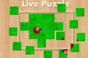 Screenshot image of Live Puzzle game