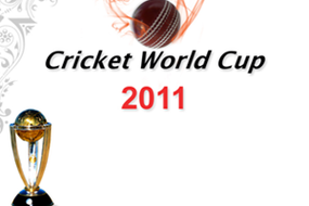 Screenshot image of Cricket WorldCup 2011 game